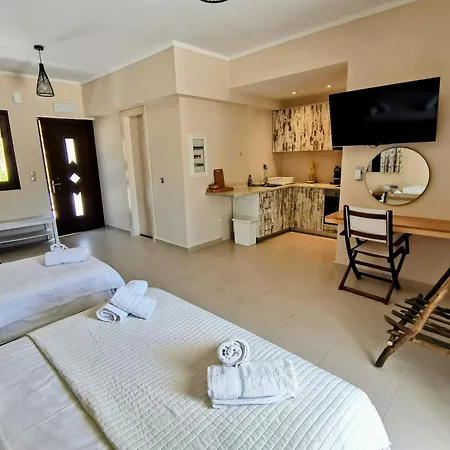 アパート Il Viaggio ヴァシリキ