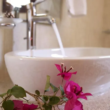 Il Viaggio * ヴァシリキ