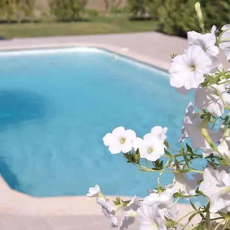 Il Viaggio アパート