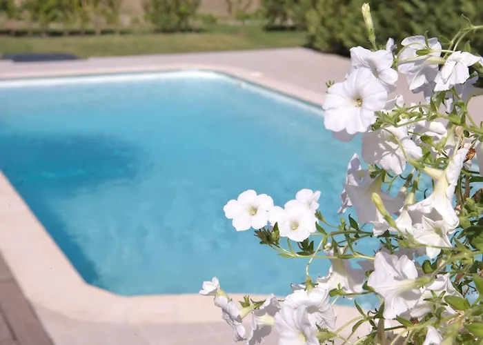 Il Viaggio Διαμέρισμα