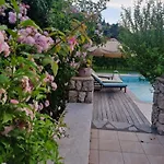 Il Viaggio Vasiliki