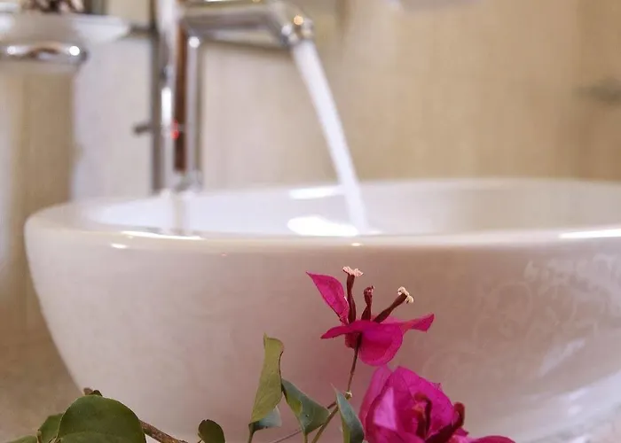 Il Viaggio * Vasiliki