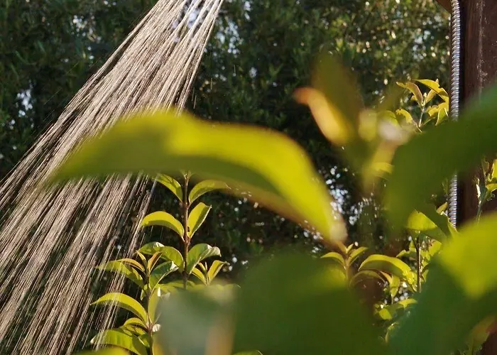 Il Viaggio Apartamento